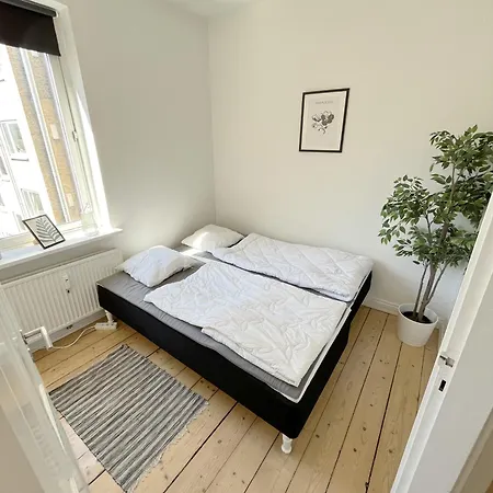 公寓 2 Bedroom On Borgergade